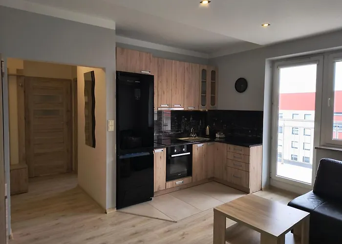 Zara Self Check In דירה ז'שוב